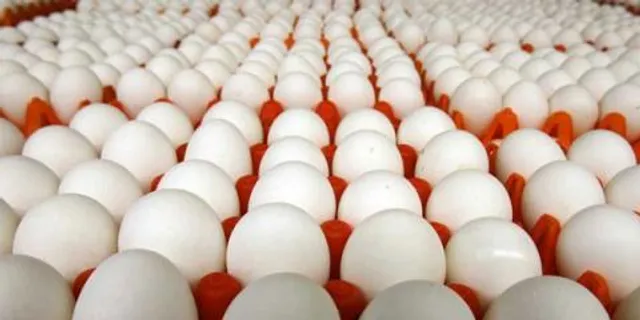 পোলট্রির ডিমের দাম বাড়াল হরিণঘাটা মিট