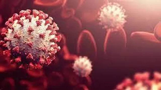 চিনেও ছড়িয়ে পড়ল ওমিক্রন!