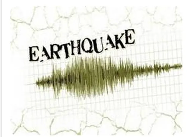 কেঁপে উঠল চিলি