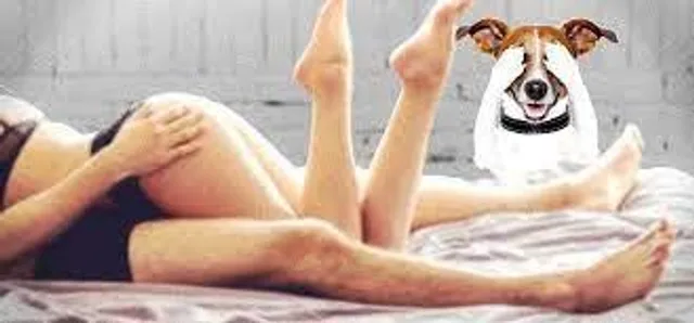 আদরের পোষ্যই আপনার সেক্স লাইফের 'ভিলেন' হয়ে উঠছে না তো?