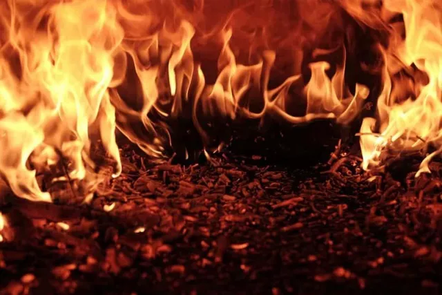 দিল্লির বস্তিতে ভয়াবহ আগুন, মৃত ১