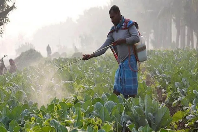 জমিতে কীটনাশক প্রয়োগের কুফল