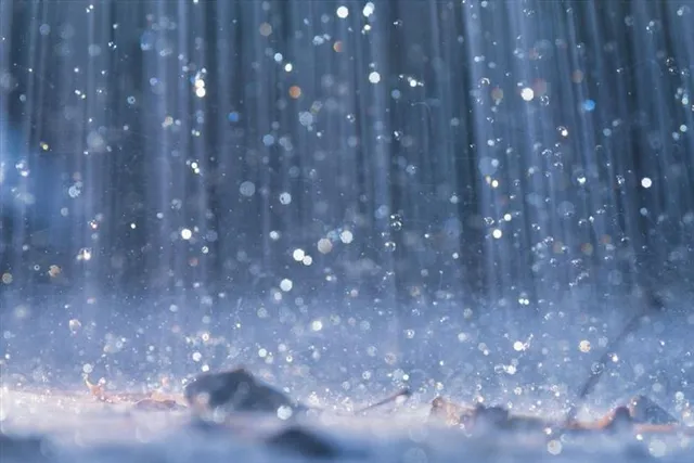 বাংলায় ভারী বৃষ্টির সম্ভাবনা