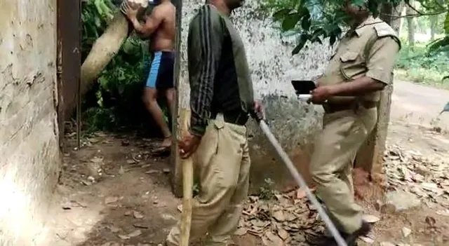 বেআইনি ভাবে বৃহদাকার গাছ কাটার অভিযোগ দুর্গাপুরে