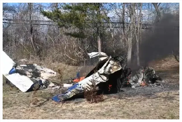 যুক্তরাষ্ট্রে বিমান দুর্ঘটনায় নিহত ভারতীয় বংশোদ্ভূত এক নারী