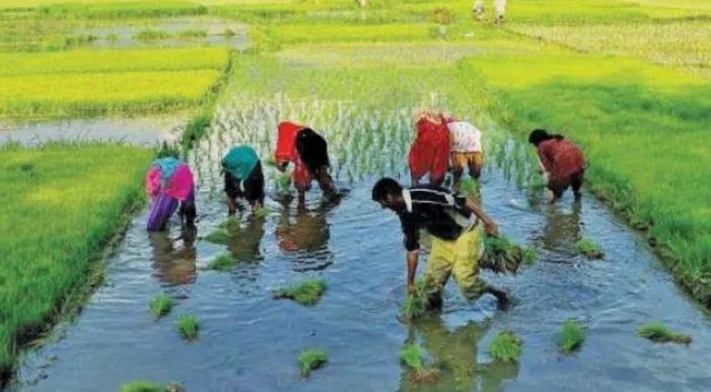 বাজেট অধিবেশনে কৃষকদের জন্য বড় ঘোষণা করতে পারে কেন্দ্র