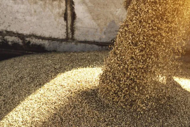 শস্য প্রেরকদের বাণিজ্যিক সহায়তা প্রদান করবে রাশিয়া