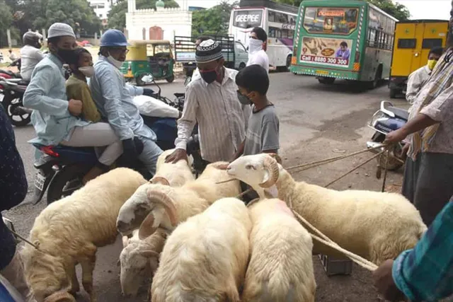 কেন পালিত হয় বকরি ঈদ?
