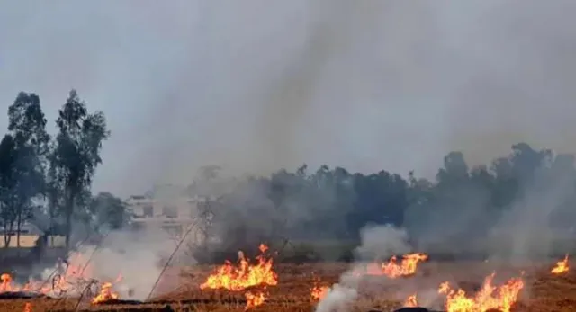 দিল্লির দূষণের জন্য দায়ী পাকিস্তান!