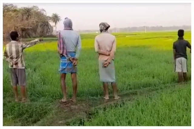 বোরো মরসুমে ফের হাতির হানা, কেশিয়াড়ীতে আতঙ্ক