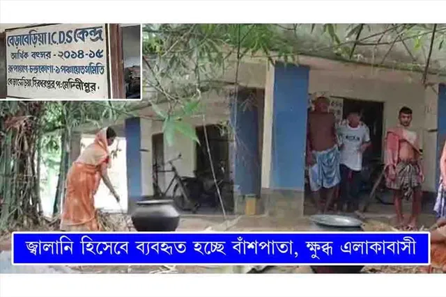 জ্বালানিতে ব্যবহৃত হচ্ছে বাঁশপাতা, ক্ষোভে ফুঁসছে এলাকাবাসী