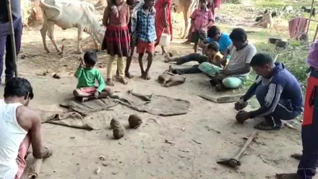 দলছুট দাঁতাল হাতির আতঙ্ক চন্দ্রকোনায়