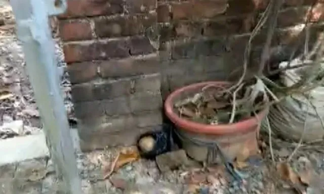 ভাঙড়ে তৃণমূল নেতার বাড়ি লক্ষ্য করে গুলি চালানোয় গ্রেফতার ৭