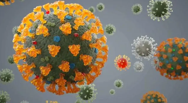 গত ২৪ ঘণ্টায় রাজ্যে করোনা আক্রান্ত ১৯৫, মৃত ৪