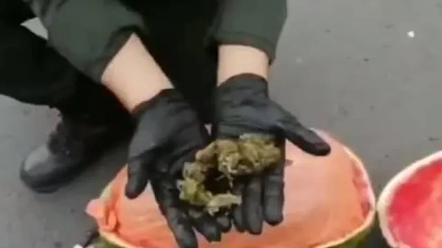 তরমুজ কেটে এ কি দেখলেন পুলিশরা