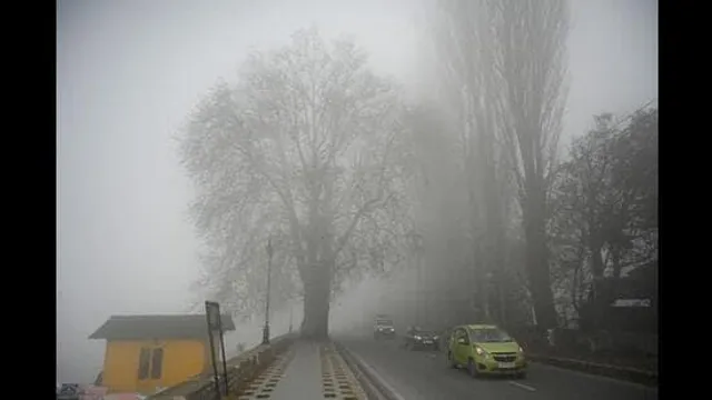 ঘন কুয়াশার কবলে উত্তর ভারতের বিস্তীর্ণ অঞ্চল