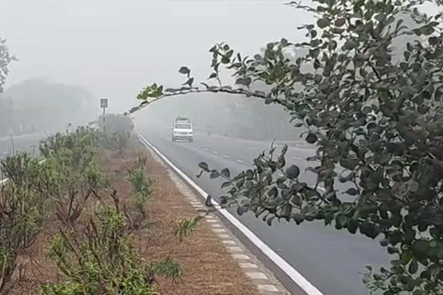 কনকনে ঠান্ডায় চারিপাশ কুয়াশাচ্ছন্ন