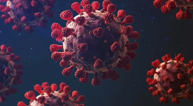 ওমিক্রন আতঙ্কের মাঝেই স্বাভাবিক হচ্ছে রাজ্যের করোনা চিত্র