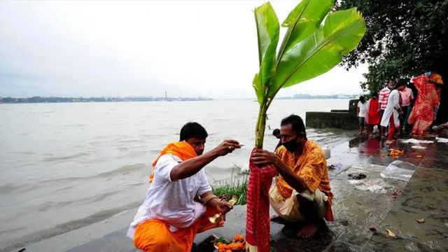 সপ্তমীতে নবপত্রিকা পুজো, কেন বলা হয় কলাবউ?