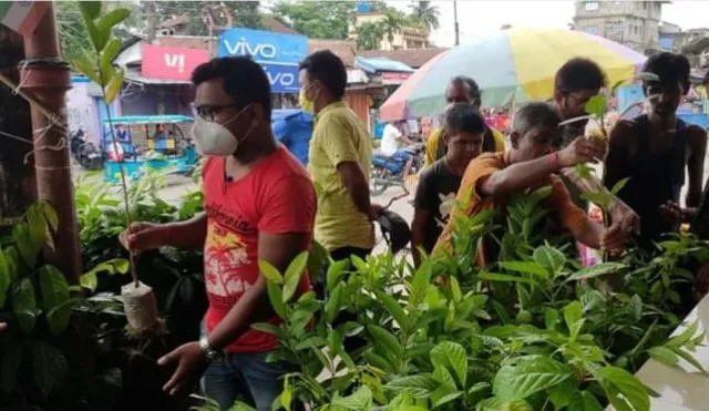 স্বাধীনতা দিবস উপলক্ষে চারাগাছ বিতরণ