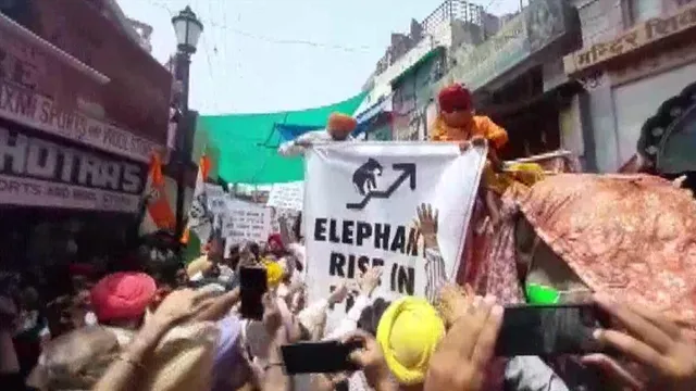 প্রতিবাদ প্রদর্শনে হাতির পিঠে চড়লেন কংগ্রেসের সিধু