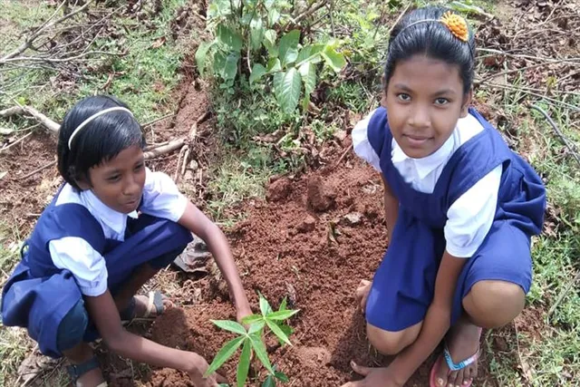 আদিবাসী হাইস্কুল প্রাঙ্গণে বন মহোৎসব উপলক্ষে বৃক্ষরোপণ কর্মসূচি