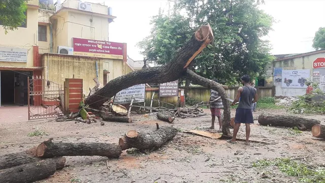 রাস্তায় গাছ পড়ে যান চলাচল ব্যাহত