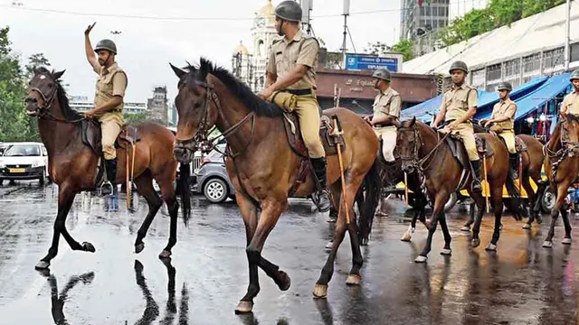প্রশিক্ষণের স্বার্থে ঘোড়া কিনছে কলকাতা পুলিশ
