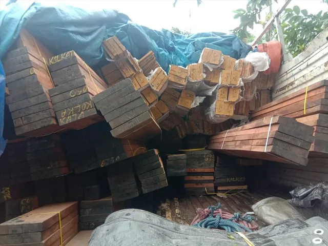 লক্ষাধিক টাকার শাল ও সেগুন কাঠ উদ্ধার করলেন বনকর্মীরা