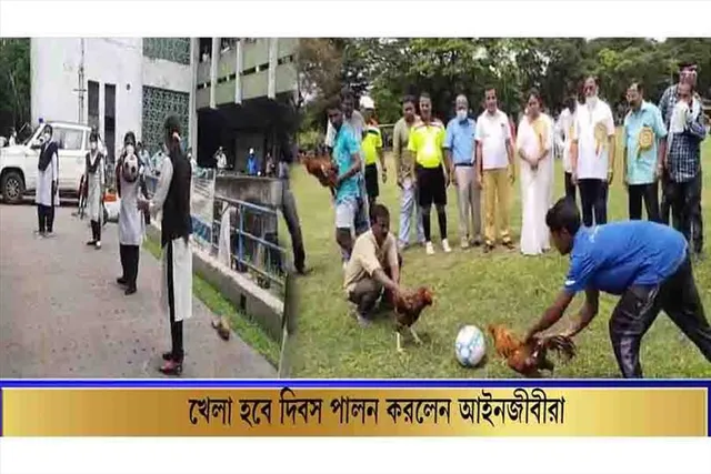 খেলা হবে দিবস পালন করল তৃণমূলের আইনজীবী সেল