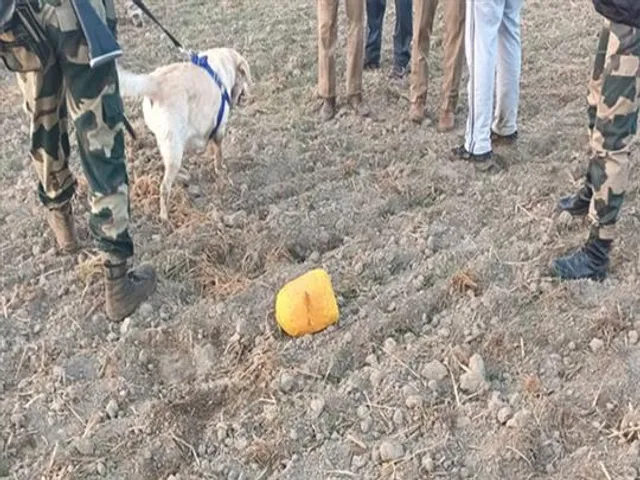 ২.৬ কেজি হেরোইন বাজেয়াপ্ত করল বিএসএফ, আটক ১