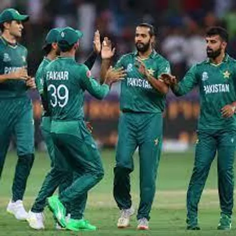 পাকিস্তানকে বড় লক্ষ্য দিয়েছিল অজিরা