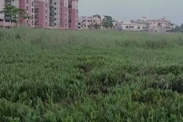 জলাশয় সংস্কারের উদ্যোগ নিল আসানসোল-দুর্গাপুর উন্নয়ন পর্ষদ