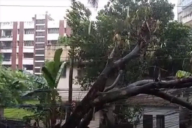 আছড়ে পড়তে চলেছে সিত্রাং, আতঙ্ক বাংলাদেশে