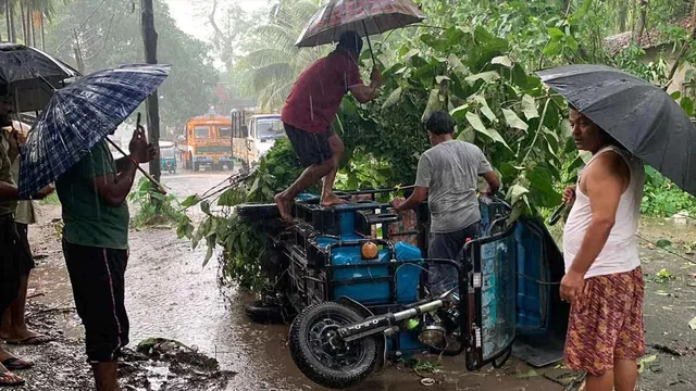 ঘণ্টাখানেকের ঝড়ে লণ্ডভণ্ড আলিপুরদুয়ার