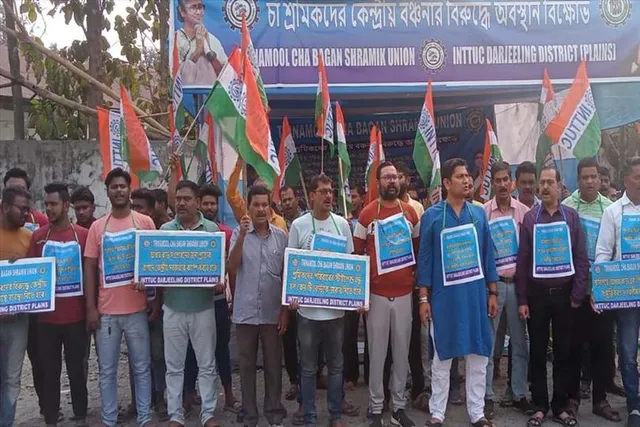 চা শ্রমিকদের ওপর কেন্দ্রীয় বঞ্চনার অভিযোগ, বিজেপি সাংসদের বাড়ির সামনে শুরু বিক্ষোভ