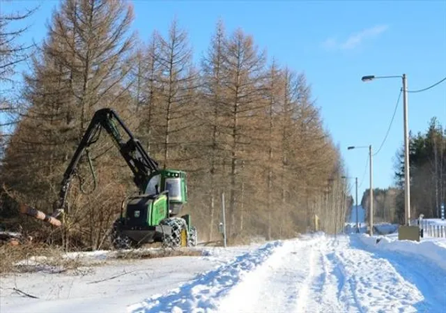 ফিনল্যান্ড রাশিয়ার সঙ্গে সীমান্তে বেড়া নির্মাণের কাজ শুরু করেছে