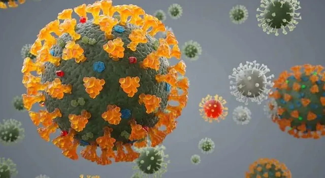 গত ২৪ ঘণ্টায় রাজ্যে করোনা আক্রান্ত ১০৯৪, করোনার বলি ৭