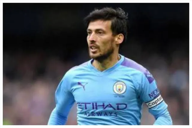 জরিমানা ডেভিড সিলভার