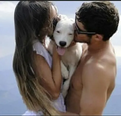 পোষ্য বাড়াবে সেক্স অ্যাপিল!