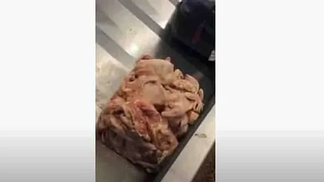 লাগেজ বেল্টে এল কাঁচা মাংস!