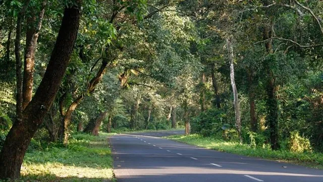 পুজোর আগে খুলে গেল ডুয়ার্সের জঙ্গলের দরজা