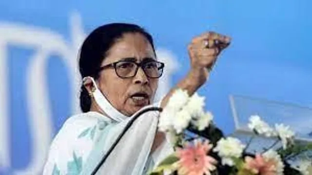 নিজের দল নিয়ে কী বললেন মমতা?