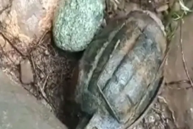 সুরানকোট থেকে ফের উদ্ধার গ্রেনেড