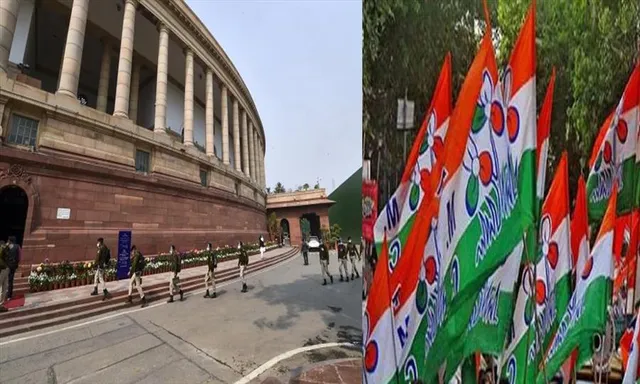 সাংসদ ভবনের সামনে বিক্ষোভ তৃণমূলের