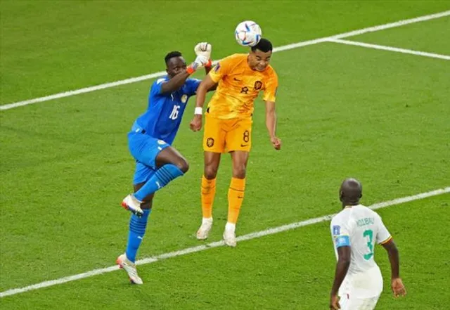 নেদারল্যান্ডসের হয়ে প্রথম গোলটি করলেন কোডি গাকপো