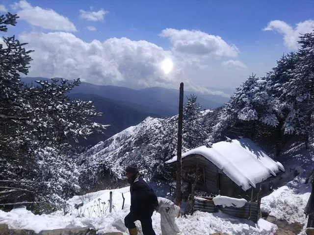 বরফে ঢাকা দার্জিলিং