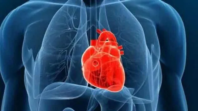 হৃদযন্ত্র সুস্থ রাখতে শীতকালে কোন নিয়ম মেনে চলা জরুরি