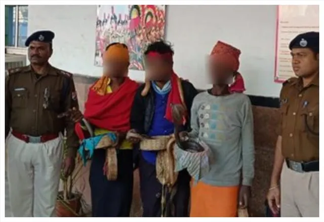 সাপ দেখিয়ে যাত্রীদের কাছ থেকে টাকা চাওয়ার  অভিযোগ, গ্রেফতার ৩