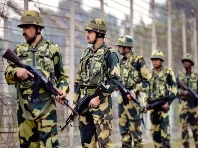 bsf 3.jpg